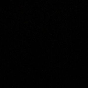 Meet your Posher, Amelia